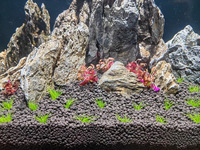 Substrat d'aquarium noir écologique 3-6 mm, couche de fond complète pour une croissance saine des plantes, aménagement et décoration