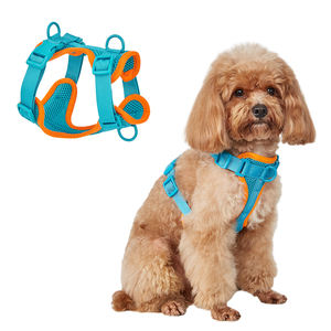 大型犬のためのカスタマイズされた印刷犬ハーネスクリスマスカスタムペットハーネスOEM/ODM - Product Image 2