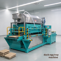 Machine avancée pour la fabrication de barquettes à œufs en pâte à papier pour une production écologique, utilisant du papier recyclé et des fibres végétales