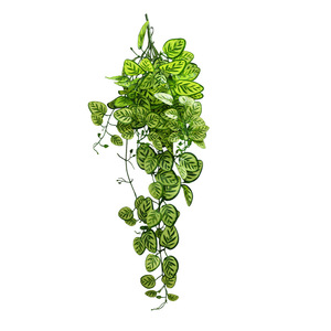 Plante Artificielle Suspendue Xinchengzhi 100-200cm, Feuilles Vertes, Décoration Intérieure, Lierre Bionique en Plastique, Verdure Murale, Décoration Maison - Product Image 5