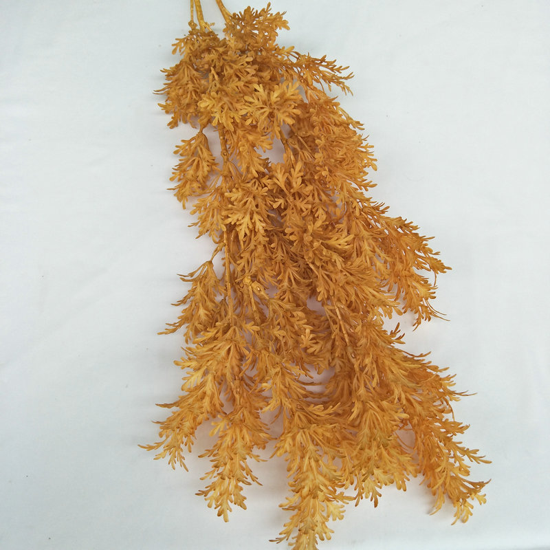 การระบายสีน้ำตาลที่ถูกเผา