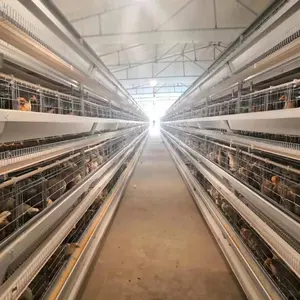 Équipement agricoles des animaux 9 l, convient aux poules, cage pour élevage des animaux de volaille