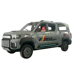 Adult Electric Pickup Truck Multi-function Transport Vehicle Cargo Special Vehicle High Quality Low Price