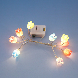 Pin Powered Tulip 1M 10Leds Dây Đồng Chuỗi Lights Cho Cây Giáng Sinh Kỳ Nghỉ Wedding Party Trang Trí Nội Thất Bạc Đầy Sao - Product Image 4