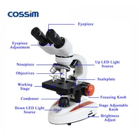 BL-10A 400X Popular Dual Light Student Binocular Laboratory Microscope Biological Microscope Price