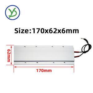 170 * 62 ملليمتر وحدة تدفئة PTC ، 220 فولت ، هيكل الألومنيوم مع درجة حرارة ثابتة 24 فولت ، مقاوم لوحة تدفئة الحرارة - Product Image 3