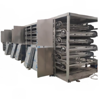 Industriële Continue 5-laags Mesh Banddroger Dehydrator Gedroogde Groenten Fruit Hete Lucht Drogen Dehydrating Machine Plc Controle