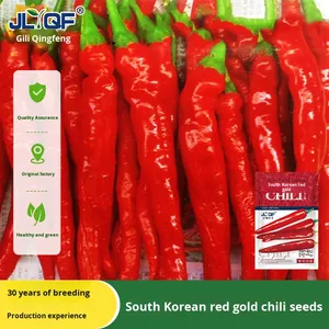 Peperoncino Rosso Dorato Essiccato: <span class=keywords><strong>Semi</strong></span> <span class=keywords><strong>di</strong></span> Peperoncino Piccante Estremo per Semina Primavera-Estate - Verdura Super Piccante - Product Image 3