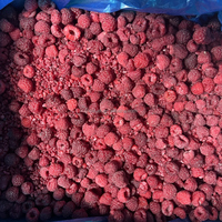 Frambuesas Enteras Congeladas de Alta Calidad, IQF, Cosecha Fresca, Suministro a Granel para Servicios de Alimentación y Comercio Minorista