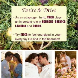Gomitas de Raíz de Maca OEM/ODM, Gran Venta, Favorecen el Rendimiento y la Energía, Equilibrio Hormonal para Mujeres y Hombres, 60 Gomitas - Product Image 4