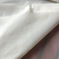 Tissu en taffetas de nylon 10D-15-20D anti-plume 290-330T 380T 400T 420T 500T ultra-fin avec revêtement en soie noire calandré pour doublure – Direct Usine