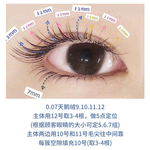 ขนตาปลอมแบบเส้นต่อเส้น 16 แถว C D 0.05 0.07 0.10 ความยาวผสม 8 ขนาด 17 มม. แบบธรรมชาติ ยาวเรียว สไตล์บลูมมิ่ง ติดเอง - Product Image 3