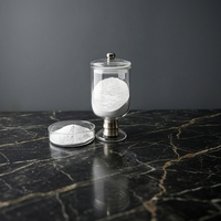 Polvo de Alúmina Gamma Nano, 99.99% de Pureza, D50 Menor a 50nm, Alta Área de Superficie BET, Soporte Catalítico, Polvo de Al2O3 Gamma