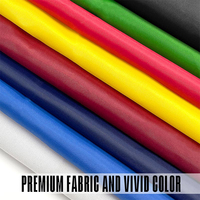 Drapeau de la République démocratique du Congo 3x5 Ft en polyester monocouche style fanion avec deux œillets en laiton pour décoration intérieure et extérieure
