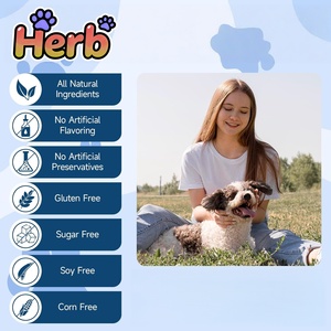 Suplemento Probiótico Masticable para Mascotas ODM/OEM, Salud Digestiva para Perros y Gatos, Apoya el Equilibrio de la Flora Intestinal - Product Image 6