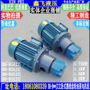 Conjunto de Motor de Bomba de Aceite de Engranajes Cicloides Verticales y Horizontales BB-B16JZ BB-B20JZ BB-B25JZ B32JZ, Bombas Hidráulicas - Product Image 3