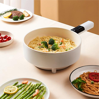 Casserole électrique polyvalente de 4 L avec fonction économie d'énergie, design simple pour usage domestique, hôtelier et cuisine de plein air raffinée
