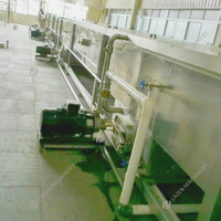 ISO 9001/CE Zware Industriële Multifunctionele Fruit- en Groenteverwerkingsmachines van RVS