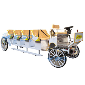 Vente en gros de calèches de mariage personnalisées, calèches de tourisme, calèches électriques à vendre - Product Image 6