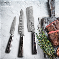 Couteau Santoku Japonais de 4,5 Pouces, Épaisseur 2,5 MM, Noyau VG-10, 67 Couches de Damas, Finition Miroir G10, OEM/ODM Luxe