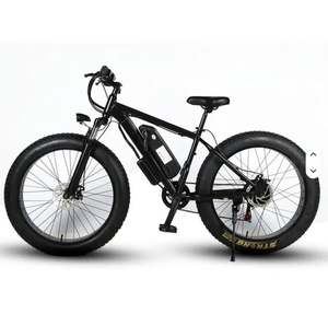 Potente Bicicleta Eléctrica de Neumáticos Anchos de 1000W, Batería de Gran Capacidad de 48V, Doble Freno de Disco, Todoterreno, Playa, Nieve, Montaña - Product Image 3