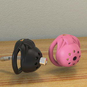 Mini Gabbia di Castità Rosa, Regalo di <span class=keywords><strong>San</strong></span> <span class=keywords><strong>Valentino</strong></span> <span class=keywords><strong>per</strong></span> il <span class=keywords><strong>Fidanzato</strong></span> - Product Image 3