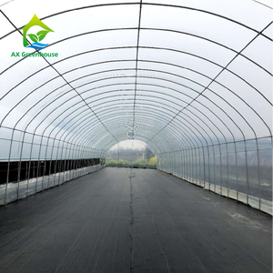 الدفيئات الزراعية الزراعة الحلزون نفق رقائق بلاستيكية للصوب الزراعية زراعة تسليط الهيكل العظمي الطماطم الدفيئة للبيع - Product Image 3