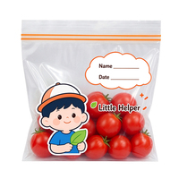 Sacs alimentaires refermables en LDPE pour congélateur, réutilisables, sans fuite, avec logo personnalisé, fermeture éclair simple ou double