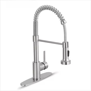 Однорычажный распылитель из нержавеющей стали - Product Image 1