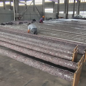 Columna de Iluminación Moderna de Doble Brazo Cónico de Acero Galvanizado de 8m 10m para Medianas de Calles y Avenidas - Product Image 6