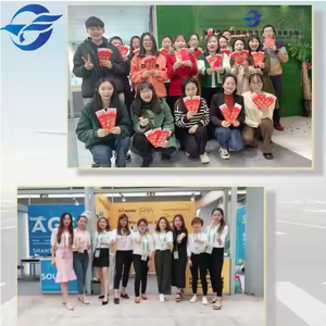 중국에서 호주 주요 항구까지의 전문 해상-항공 화물 및 FCL/LCL 운송, DDP 서비스 제공 - Product Image 5