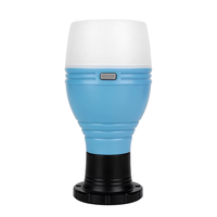 Lampe LED portable, ampoule, lumière de camping, lumière d'urgence avec crochet de suspension, lampe de tente, lanterne de camping