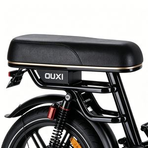 Bicicleta Eléctrica de Montaña DO-TOP Estilo Etro con Llantas Gruesas de 20 Pulgadas, Motor de 250W 48V de Litio con Motor Trasero sin Escobillas de 15AH, 7 Velocidades, Bicicleta Todoterreno Hidráulica - Product Image 3