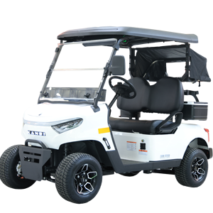 Carrito de Golf Golfer 2P, Buggy de Litio para Turismo, Vehículo de Litio, Carrito de Golf 2P, Buggy - Product Image 1