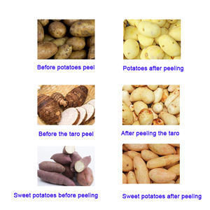 เครื่องปอกเปลือกอาหารแบบถังสแตนเลสเชิงพาณิชย์ 15 ลิตร 165 กก./ชม. สำหรับเผือก พร้อมใบรับรอง CE - Product Image 4