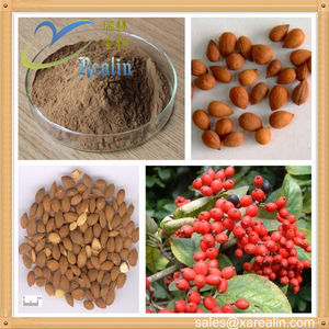 Extrait de sérum naturel Pruni, 10:1, graine de <span class=keywords><strong>cerisier</strong></span> chinois, en poudre - Product Image 4