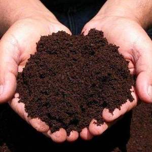 Poudre de fumier de vache premium et vermicompost, engrais naturel biologique pour l'enrichissement du sol, pour les jardins domestiques, les pépinières et l'agriculture - Product Image 1