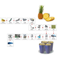 Usine de production de jus d'ananas entièrement automatisée, prix d'usine personnalisé Lazen