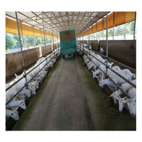 Abri préfabriqué à structure en acier léger pour chèvres de ferme conçu pour moutons et chèvres