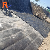 Revestimientos para Estanques de 250 Micras, Zimbabue, Geomembrana para Instalar Revestimientos, Cómo Construir un Estanque de Peces con Revestimiento, Piscina de Cría Acuática