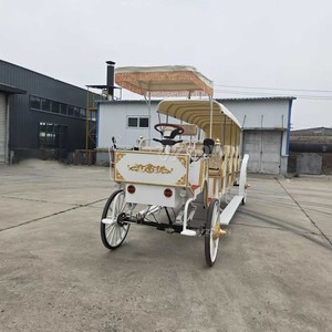 Chariot de luxe électrique et à chevaux de style royal victorien pour le tourisme, les parcs équestres et les attractions - Product Image 6