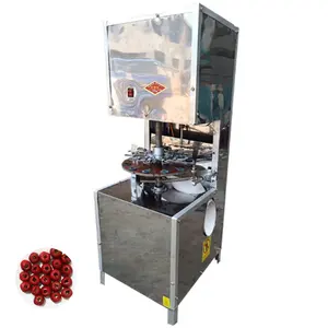 Beste Kirsch samen entfernungs maschine Datum Olive Hawthorn Fruit Pitting Machine