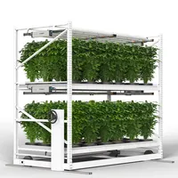 Rack Hydroponic Grow 2022 Indoor Plant Farming Hydroponic High Quality Vertical Propagation Multiple Tiers Growing Rack