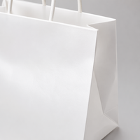 Sacs cadeaux personnalisés en carton ondulé robuste pour l'emballage de bouteilles et d'objets lourds