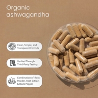 Poudre et Extrait de Racine d'Ashwagandha 2100mg à Marque Blanche OEM avec Poivre Noir pour le Bien-être Adaptogène et le Soutien de l'Équilibre du Stress