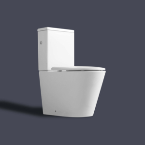 Two Piece Toilets Rimless <strong>Flushing</strong> for Mid-High End Market Tornado WC <strong>Geberit</strong> <strong>Flushing</strong> Fitting - Product Image 5