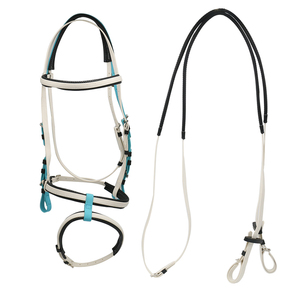 Cielo blu PVC cavallo briglia abbinata redini modello sportivo di fascia alta prodotti Premium cavallo disponibili rosso <span class=keywords><strong>verde</strong></span> pelle bianca - Product Image 3