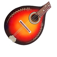 Mandolin Instrument Mandolin Treble Eight-stringed Instrument Western Instrument Mandolin