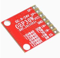 Module de carte amplificateur numérique OEP30W Kit d'amplificateur bricolage 30W classe D Rainbowsemi