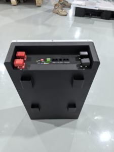 15KWh 16KWh ev depolama aküsü 51.2V 314Ah Lifepo4 akıllı BMS 6000 döngü için lityum demir fosfat pil paket - Product Image 4